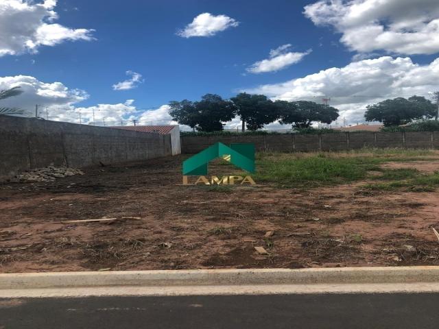 Terreno para Venda em Monte Alto - 3