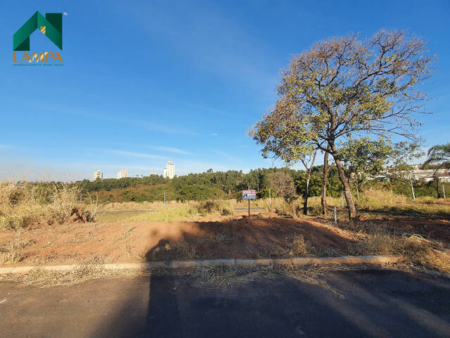 Terreno para Venda em Monte Alto - 2