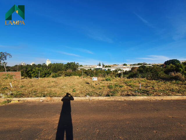 Terreno para Venda em Monte Alto - 5