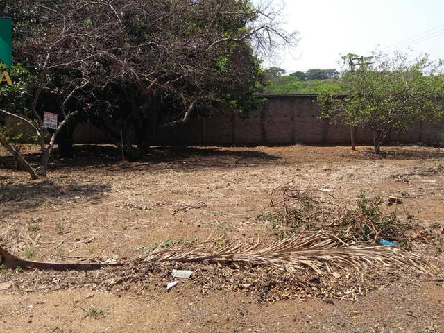 Terreno para Venda em Matão - 3