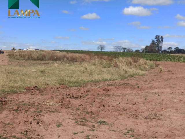 #485 - Área para Venda em Monte Alto - SP - 2