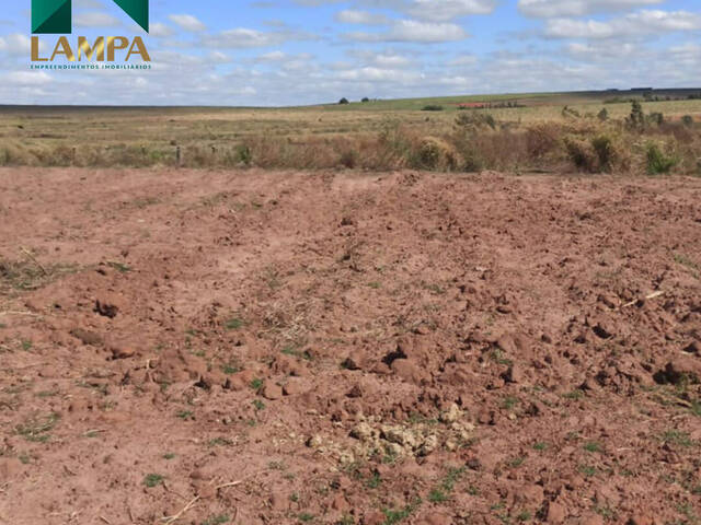 #485 - Área para Venda em Monte Alto - SP - 3