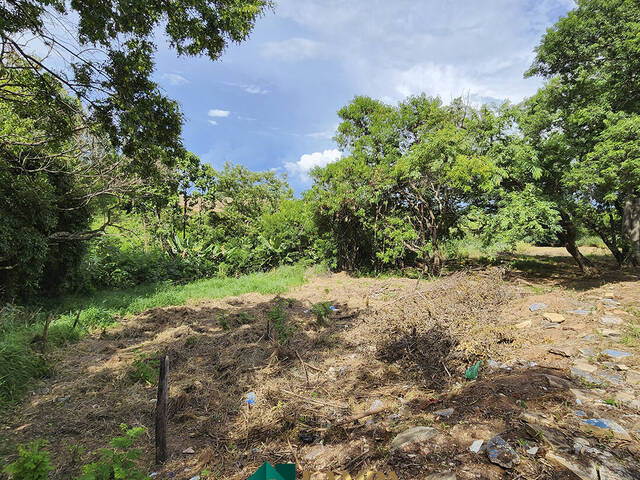 #796 - Área para Venda em Monte Alto - SP - 2