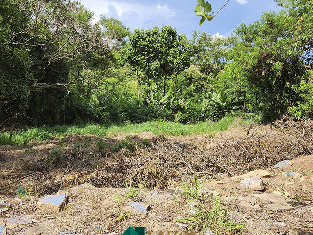 Área para Venda em Monte Alto - 4