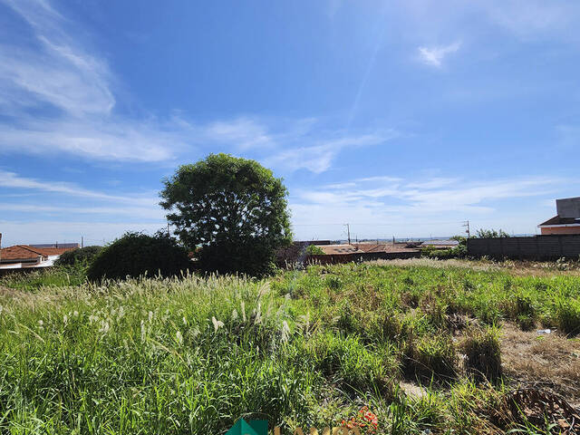 Terreno para Venda em Monte Alto - 4