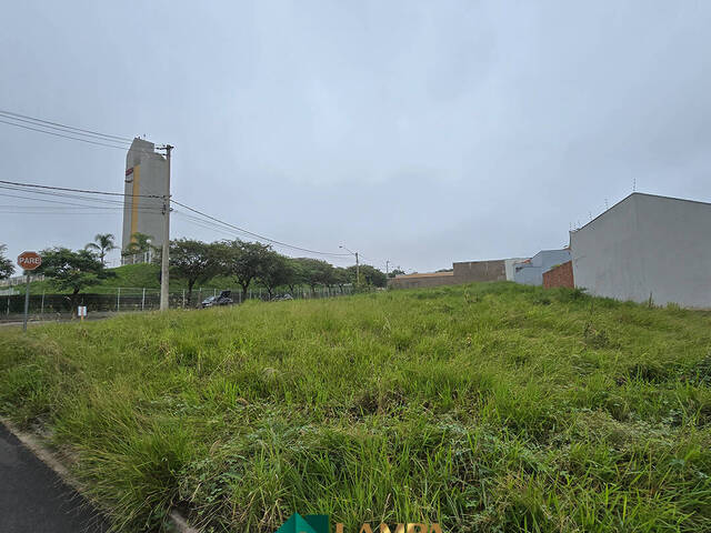 Terreno para Venda em Monte Alto - 2