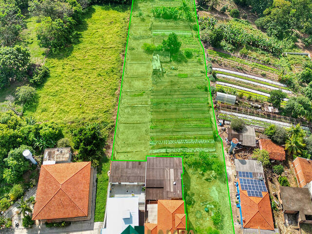 #1045 - Chácara para Venda em Monte Alto - SP - 2