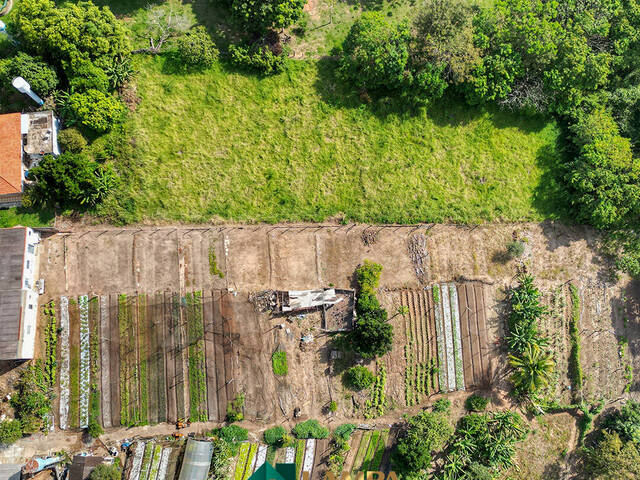 Chácara para Venda em Monte Alto - 4