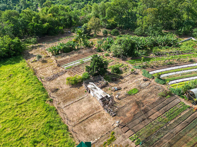 Chácara para Venda em Monte Alto - 5