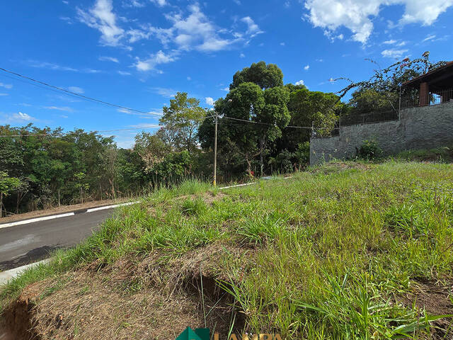 Terreno para Venda em Monte Alto - 4
