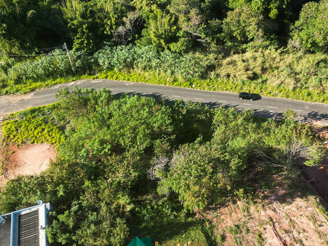 #532 - Terreno para Venda em Monte Alto - SP - 3