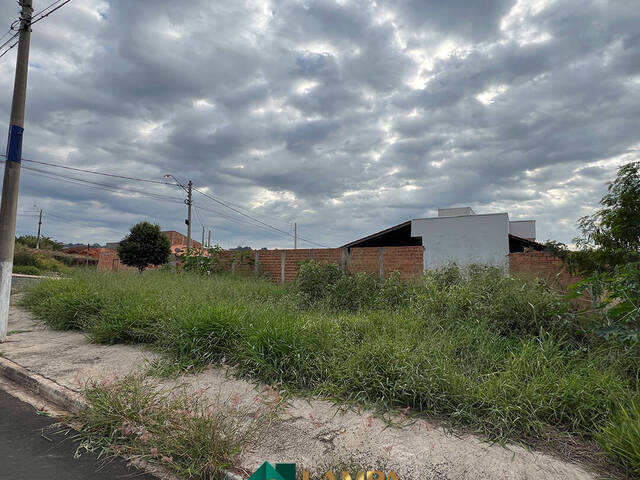 #1065 - Terreno para Venda em Monte Alto - SP - 3