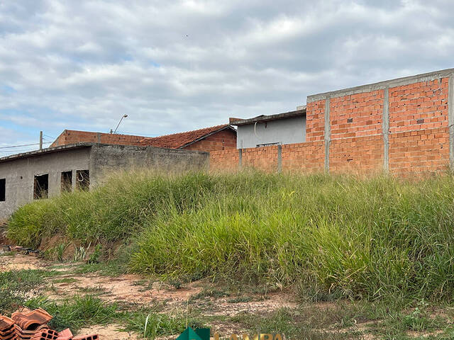 #1066 - Terreno para Venda em Monte Alto - SP - 3