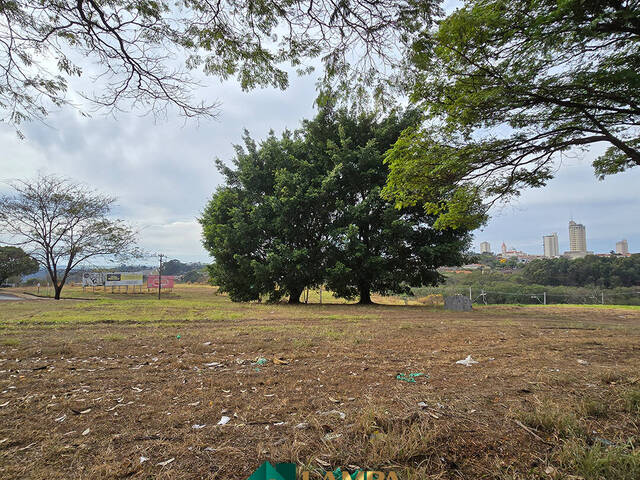 #1102 - Área para Venda em Monte Alto - SP - 3