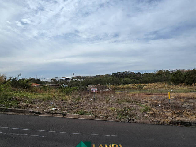 #1103 - Área para Venda em Monte Alto - SP - 1
