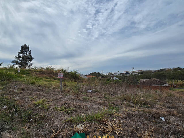 #1103 - Área para Venda em Monte Alto - SP - 2