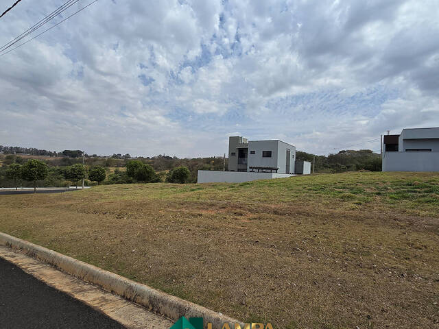 #1104 - Área para Venda em Monte Alto - SP - 3