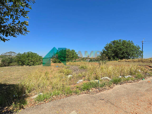 #1108 - Terreno para Venda em Monte Alto - SP - 3