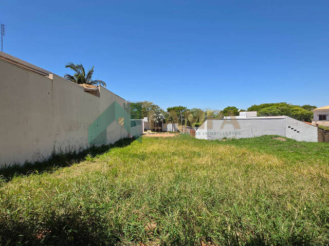 Terreno para Venda em Monte Alto - 3