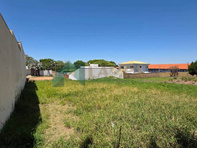 Terreno para Venda em Monte Alto - 4