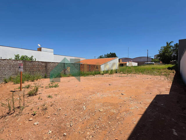 Terreno para Venda em Monte Alto - 4