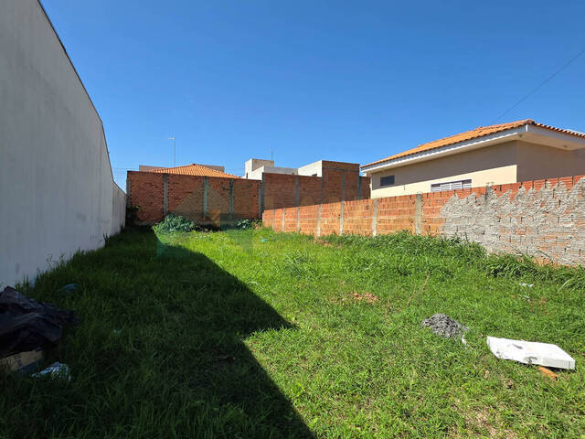 #1125 - Terreno para Venda em Monte Alto - SP - 2