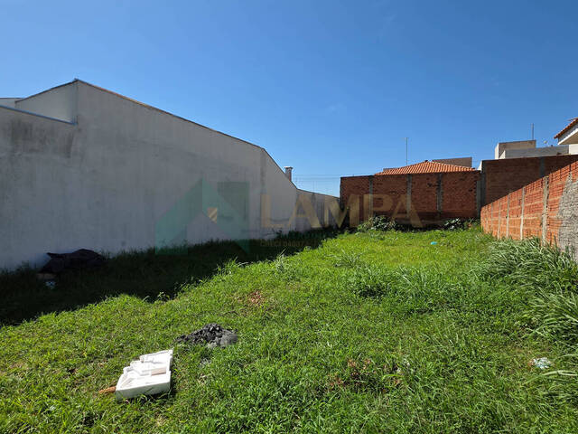 #1125 - Terreno para Venda em Monte Alto - SP - 3