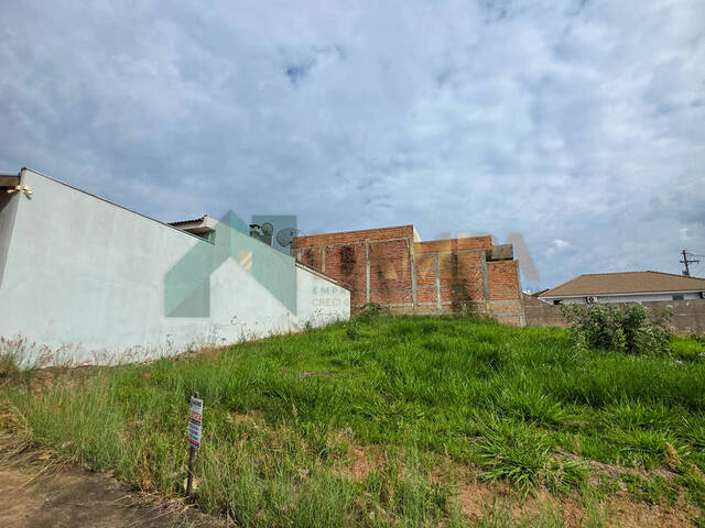 Terreno para Venda em Monte Alto - 4