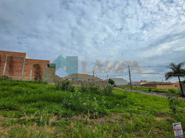 Terreno para Venda em Monte Alto - 4