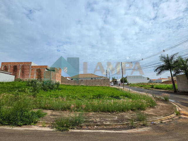 #1135 - Terreno para Venda em Monte Alto - SP - 3