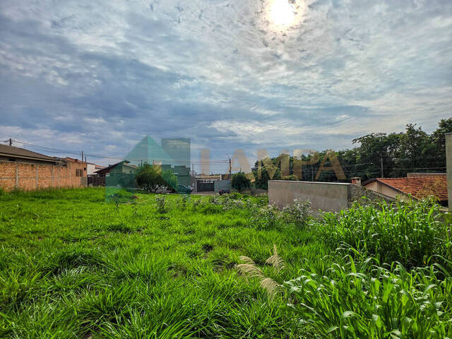 Terreno para Venda em Monte Alto - 4