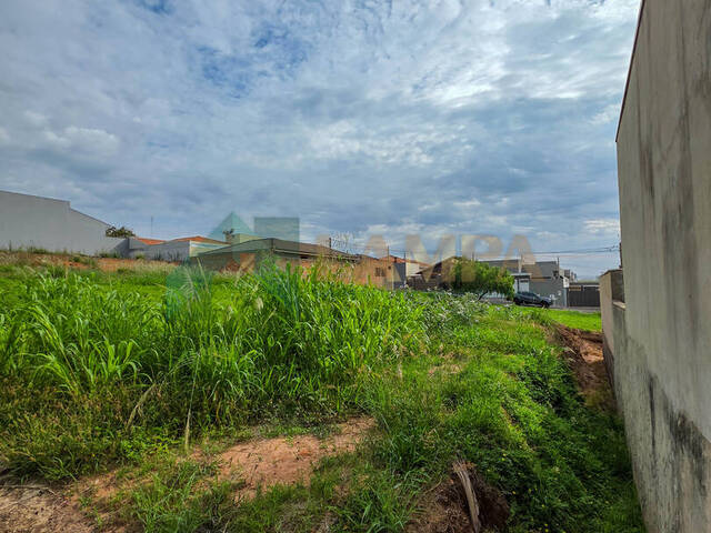 Terreno para Venda em Monte Alto - 5