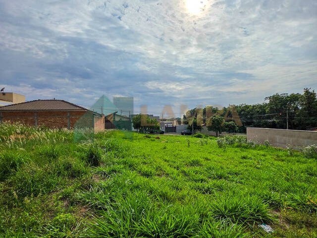 Terreno para Venda em Monte Alto - 4