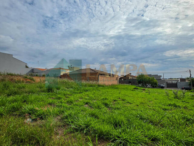 Terreno para Venda em Monte Alto - 5