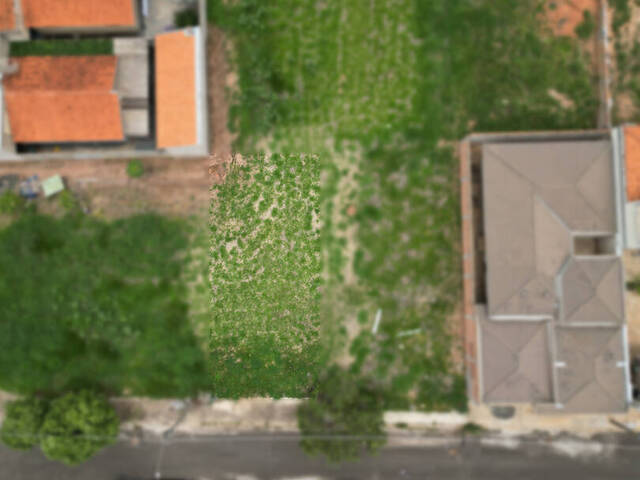 Terreno para Venda em Monte Alto - 2