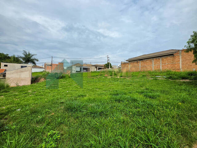 Terreno para Venda em Monte Alto - 5