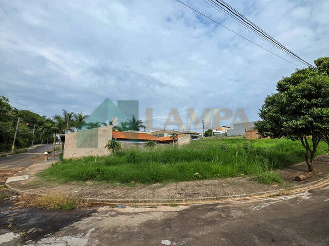 Terreno para Venda em Monte Alto - 3