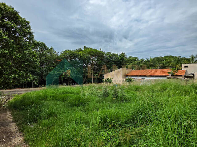 Terreno para Venda em Monte Alto - 4