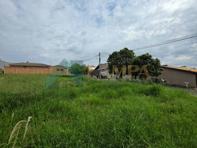 Terreno para Venda em Monte Alto - 5