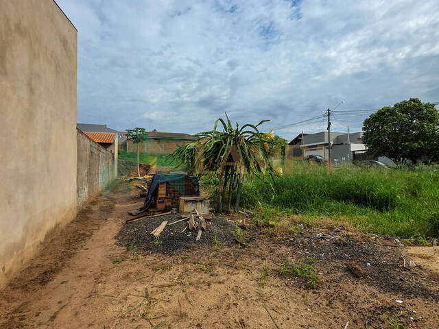 Área para Venda em Monte Alto - 4