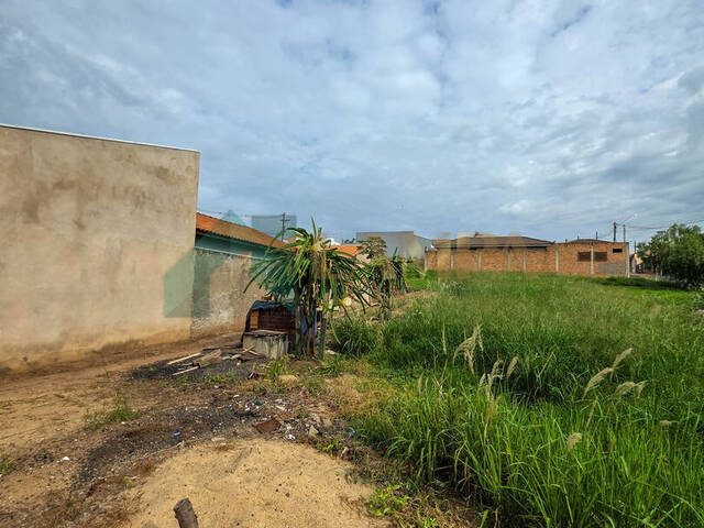Área para Venda em Monte Alto - 5