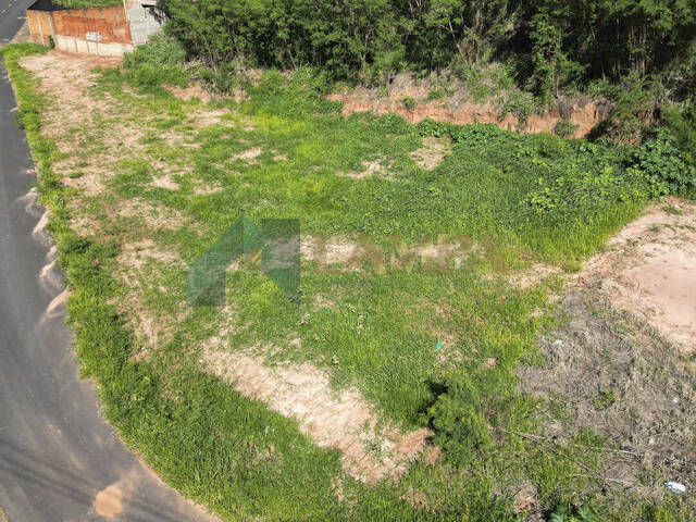 Terreno para Venda em Monte Alto - 4