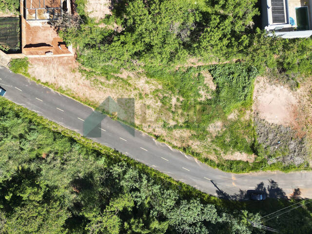 Terreno para Venda em Monte Alto - 5