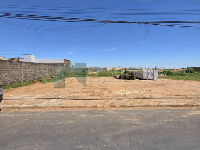 #1145 - Terreno para Venda em Monte Alto - SP - 3