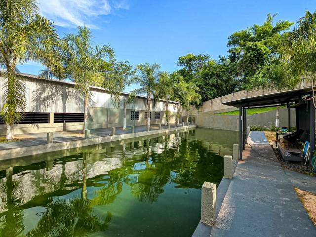 #1149 - Chácara para Locação em Monte Alto - SP - 2