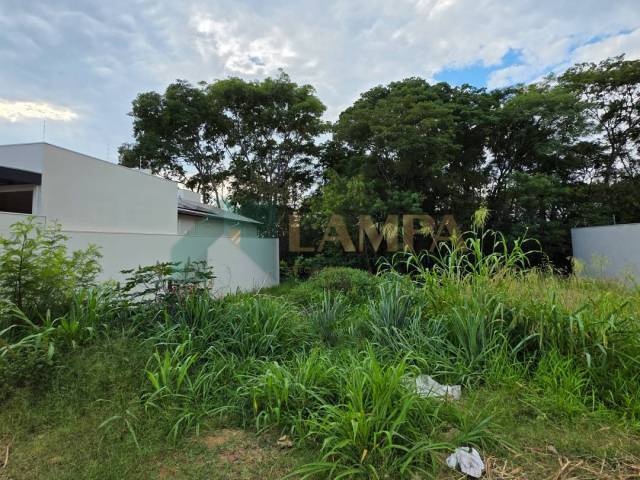 #1147 - Terreno para Venda em Monte Alto - SP - 3