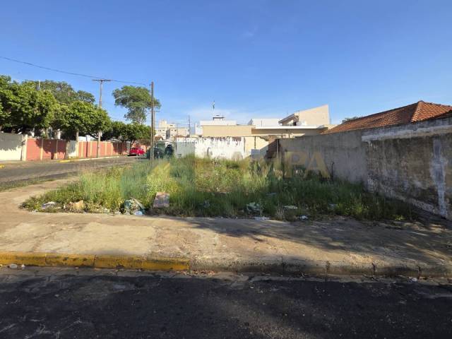 Terreno para Venda em Monte Alto - 2