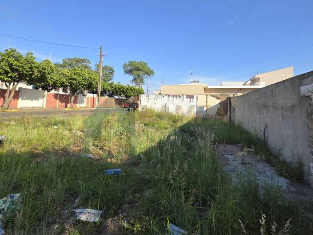 Terreno para Venda em Monte Alto - 3