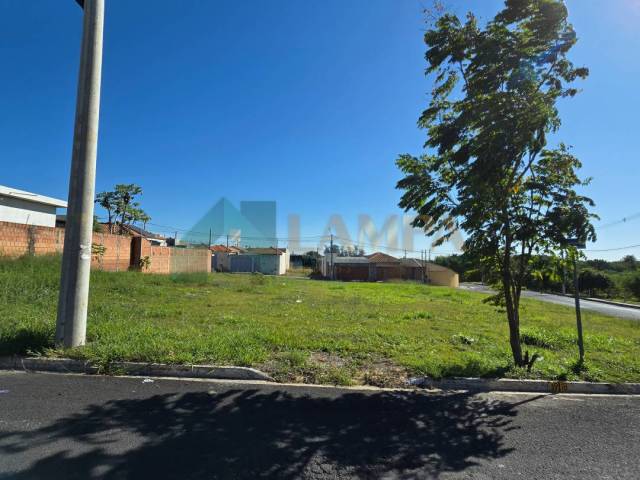 #1161 - Terreno para Venda em Monte Alto - SP - 2