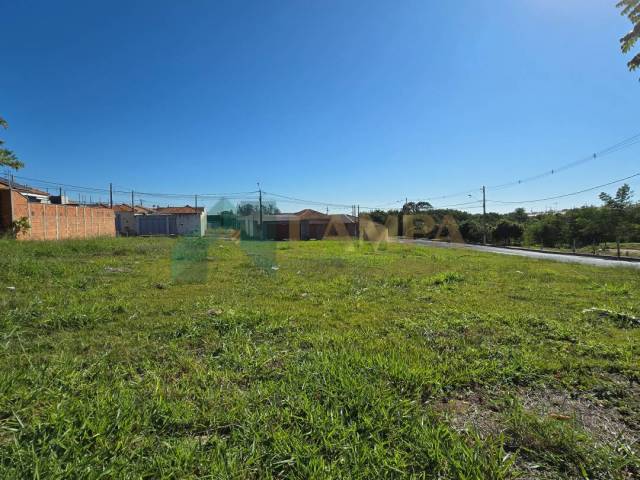 #1161 - Terreno para Venda em Monte Alto - SP - 3